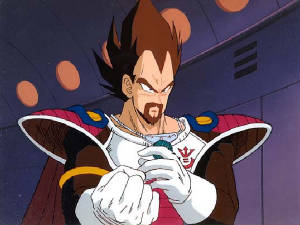 kingvegeta.jpg