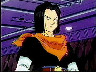 android17.jpg