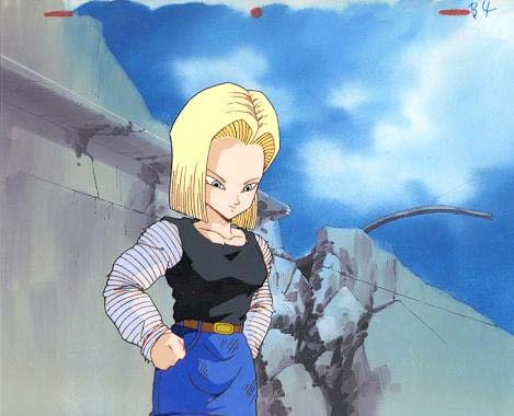 android18.jpg