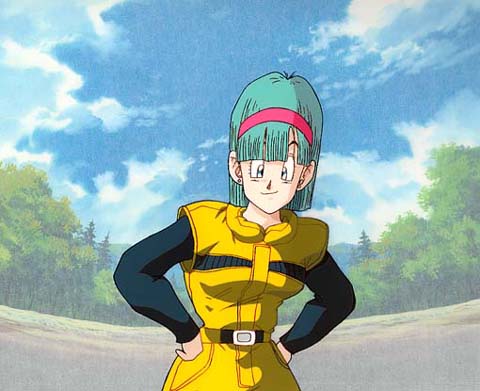 bulma.jpg